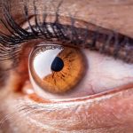 Coronavirus: cientificos identifican una nueva secuela en pacientes que lo tuvieron