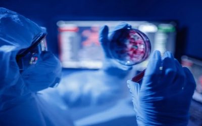 Candida Auris, el hongo “superbacteria” que amenaza a Estados Unidos