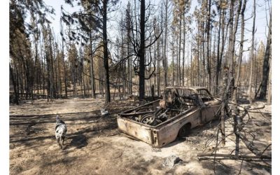 Cuadrillas avanzan frente a incendio en el oeste de EEUU