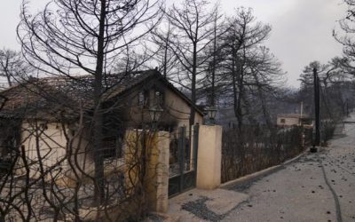 Miles de personas huyen de los incendios en Grecia y Turquía