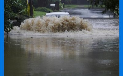 Depresión tropical Fred avanza por EEUU; Grace ya es huracán