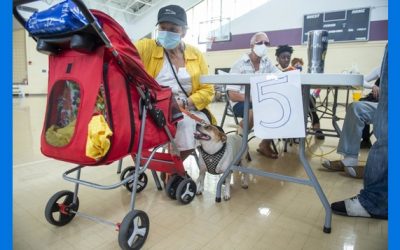 Nueva Orleans: Reanudan vuelos comerciales tras paso de Ida