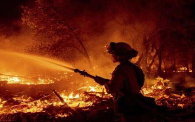 Avanza combate a incendio forestal en el norte de California