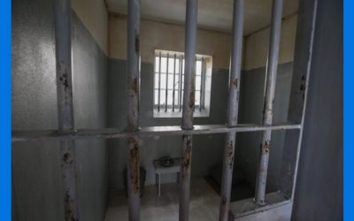 21 años de cárcel para veterinario que tenía sexo con perros y se grababa