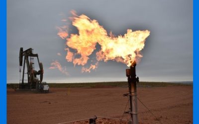 G20 tratará precio de energía y otros problemas económicos