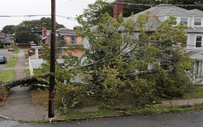 Tormenta deja a miles sin electricidad, áreas inundadas.