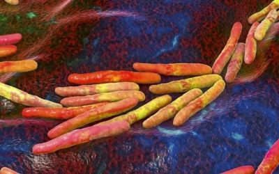 Los nuevos avances contra la tuberculosis