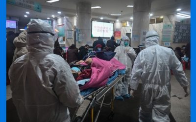 Origen de COVID-19 sería generado por una vendedora en un mercado en Wuhan, según estudio