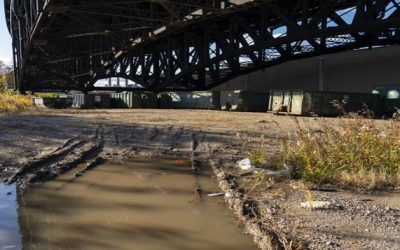 FBI examina sitio en N. Jersey en busca de restos de Hoffa