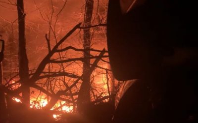 100 vehículos destruídos por incendio en depósito de chatarra.