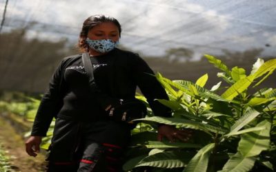 EEUU retirará a las FARC de lista de terrorismo el martes, agrega designación a dos grupos escindidos