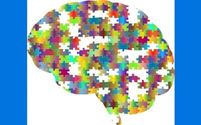 Los 8 mejores alimentos para un cerebro sano y una buena memoria