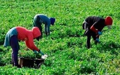 EEUU desarticula negocio que “esclavizaba” a migrantes