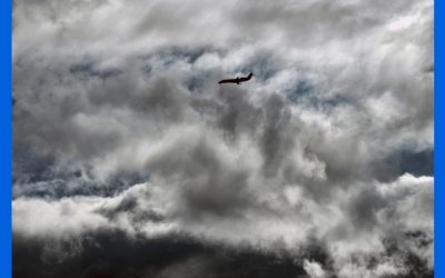 Tormentas de nieve afectan carreteras en California y Nevada