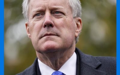 Aprueban declarar en desacato a Meadows en EEUU