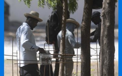 Liberan a miembros de grupo misionero de EEUU en Haití