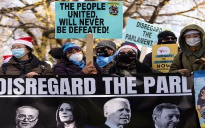 Demócratas del Senado podrían desobedecer a la parlamentaria y aprobar protección a indocumentados