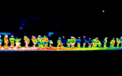 El muro de drones en la frontera para evitar la inmigración de indocumentados