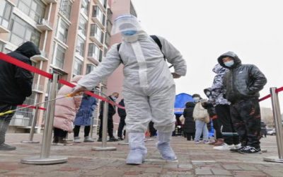 OMS: Muertes de COVID-19 se mantienen pese a auge de casos