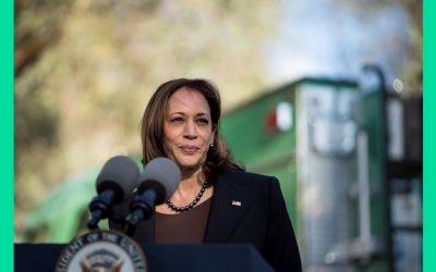Grupos proinmigrantes piden a Kamala Harris apoyar TPS a 400.000 hondureños