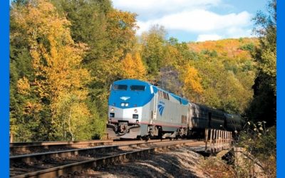 Muere conductora de Amtrak luego de caerse del tren.