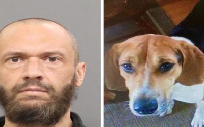 Hombre enfrenta cargos luego de que su perro es encontrado abandonado y herido de bala