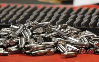 Nueve estados de EEUU buscan una solución conjunta contra la violencia armada