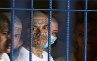El Salvador rechaza la extradición de pandillero de la MS-13 a EE. UU.