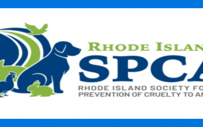 RISPCA ofrece recompensa $5,000 que lleve a los responsables de “sacrificio ritualista” de pollos en Rhode Island