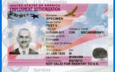 Los 6 tipos de inmigrantes a los que USCIS facilita Autorización de Empleo