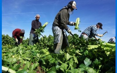 Inmigrantes latinos enfrentan más riesgo de muerte por enfermedades como hipertensión y diabetes