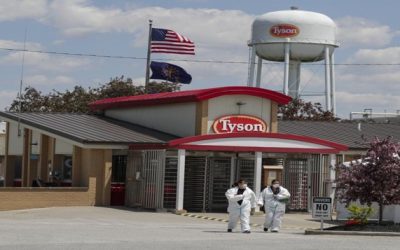 EEUU: Empresas vuelven a normalidad al disminuir casos COVID