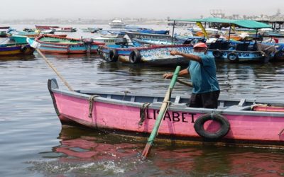 ONG: pérdida millonaria de pescadores por derrame en Perú