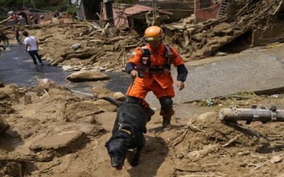 Brasil: Deslaves dejan 117 muertos y 116 desaparecidos