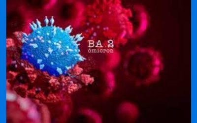 COVID BA.2: Qué tan preocupante es la subvariante de Ómicron
