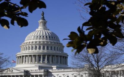EEUU: Congreso renueva histórica ley de violencia doméstica