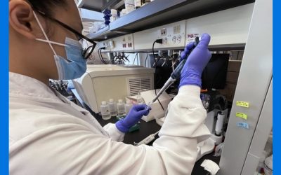 Expertos, preocupados por ver de nueva ola de COVID en EEUU