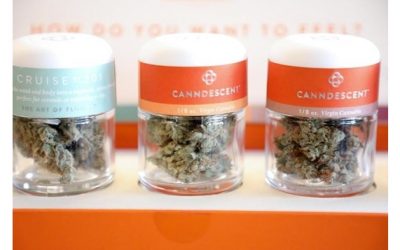 Nueva Jersey comenzará la venta recreativa de marihuana el 21 de abril