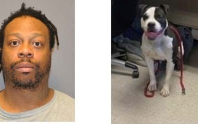 Hombre de Cranston acusado de matar a su perro.