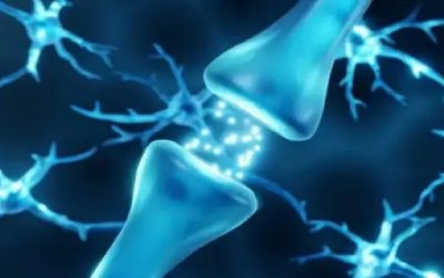 Dopamina, el neurotransmisor que nos da la felicidad, pero también nos la quita