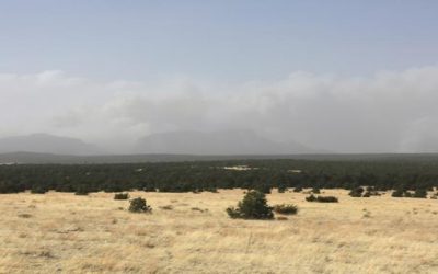 Nuevo México declara emergencia por incendios forestales