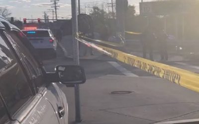 Mujer muere atropellada por vehículo que se dió a la fuga.