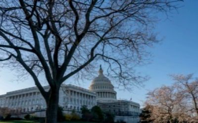 Senado de EEUU votará el miércoles sobre derecho al aborto