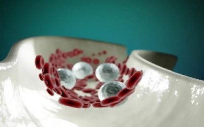 Latinos tienen mayores tasas de enfermedades cardiovasculares que las “razas blancas”
