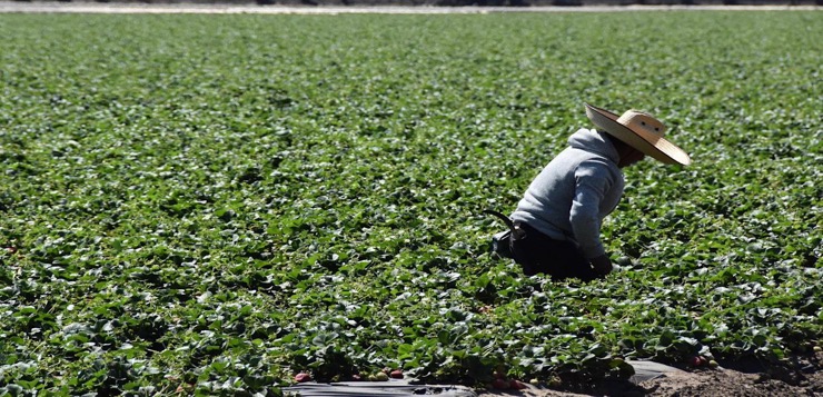 Condenan a pareja de California por someter a inmigrantes a trabajos forzados