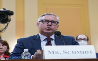 Testigos: Trump “distanciado de la realidad” en elecciones