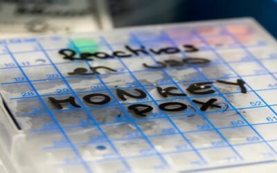 Viruela del mono: por qué no se ha podido frenar la expansión de la enfermedad (y qué riesgos tiene que no se haya declarado una emergencia)
