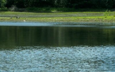 Autoridades identifican a dos hombres que se ahogaron en laguna de West Greenwich.