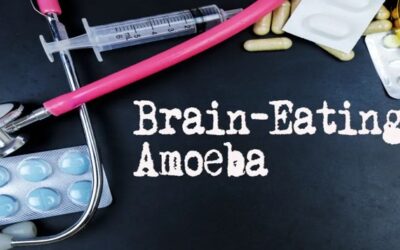 Ameba “comecerebros”: cómo protegerse del peligroso y devastador microorganismo