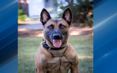 K-9 muere en el cumplimiento del deber.